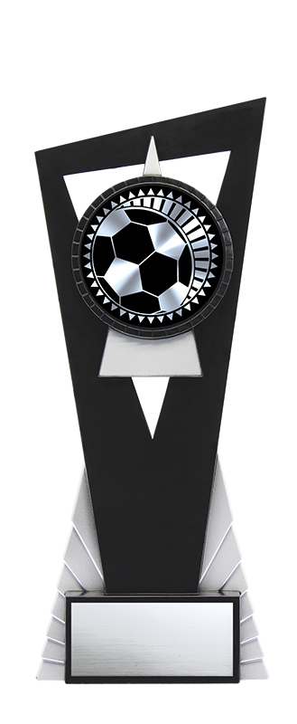 (image for) Solar Soccer Silver - 8"